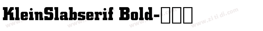 KleinSlabserif Bold字体转换